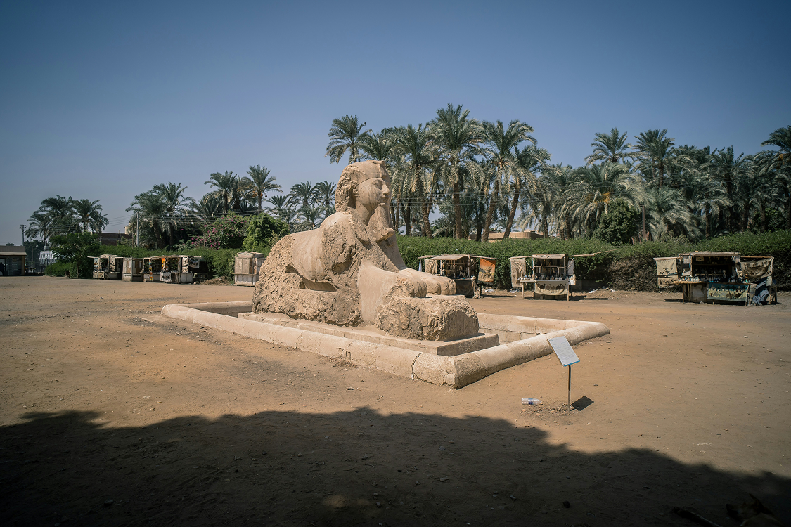 Sphinx d'albâtre de Memphis